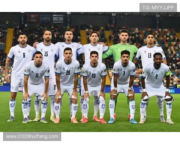 世界杯预选赛欧洲赛区附加赛精彩瞬间回顾，重点比赛亮点与关键战术分析让你一览无遗