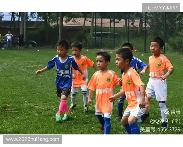 足球小将世界杯角色培养技巧详解提升你的球队战斗力